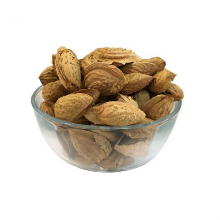 Exporting the best Shahrodi Almond in 2021