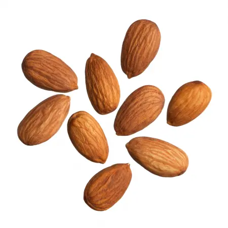 Shahrodi Almond exporters in 2021