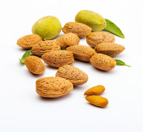 The specifications of Shahrodi Almond