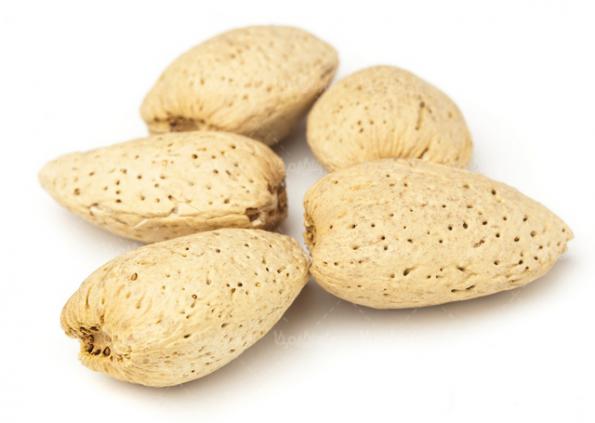 Latest Shahrodi Almond price in 2021 felard almond