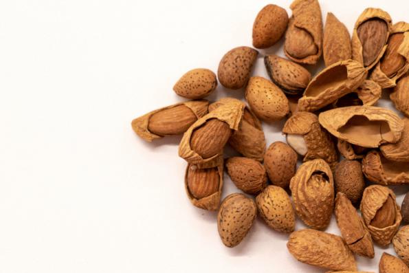 shahrodi almond bulk price in 2021 Archives felard almond