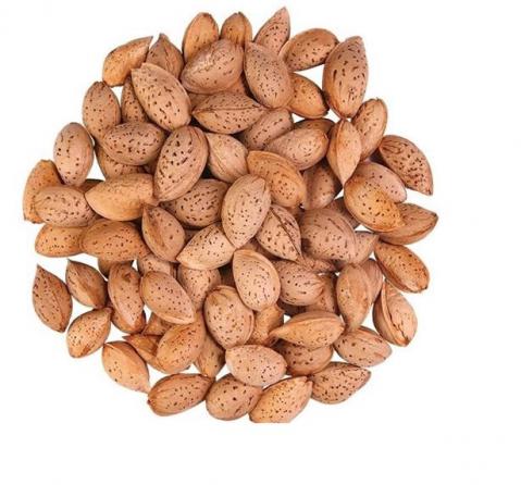 Are Shahrodi Almond skins good for you?