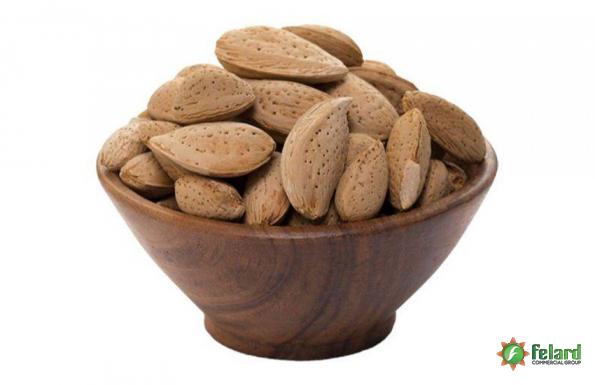 Where is the origin of Shahrodi Almond