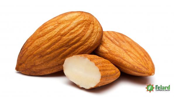 Unique Characteristics of Shahrodi Almond