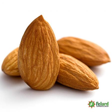Nutritional Values of Shahrodi Almond