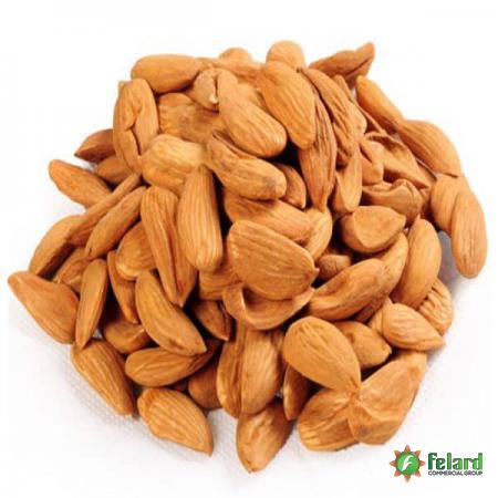 Shahroudi almond price in 2021