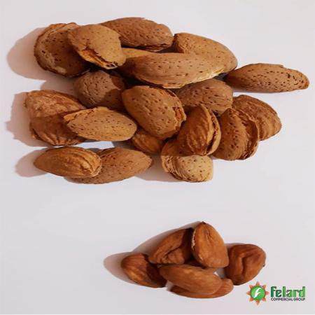Shahroudi almond export in 2021