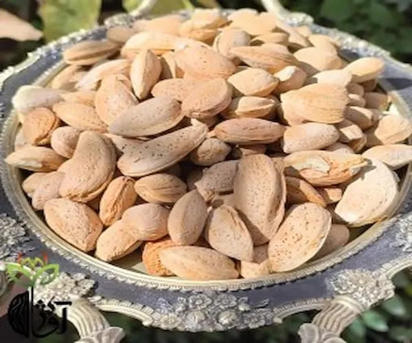 خرید مغز بادام سنگی ریز + بهترین قیمت