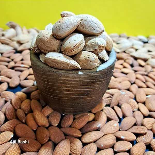 قیمت خرید بادام درختی سنگی + عکس