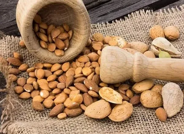 قیمت خرید بادام درختی شهرکرد + خواص، معایب و مزایا