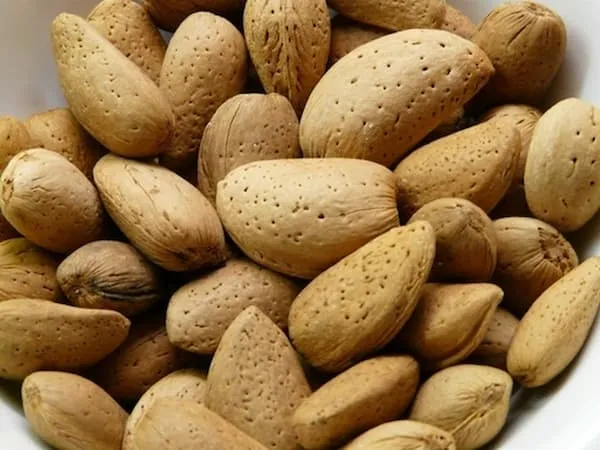 قیمت خرید بادام درختی همدان + خواص، معایب و مزایا
