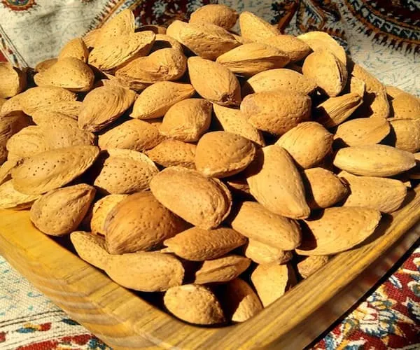قیمت خرید بادام سنگی ارگانیک + خواص، معایب و مزایا