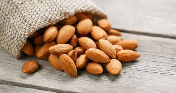 معرفی بادام درختی تلخ + بهترین قیمت خرید