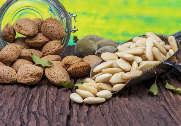 قیمت خرید بادام درختی سفید + راهنمای استفاده