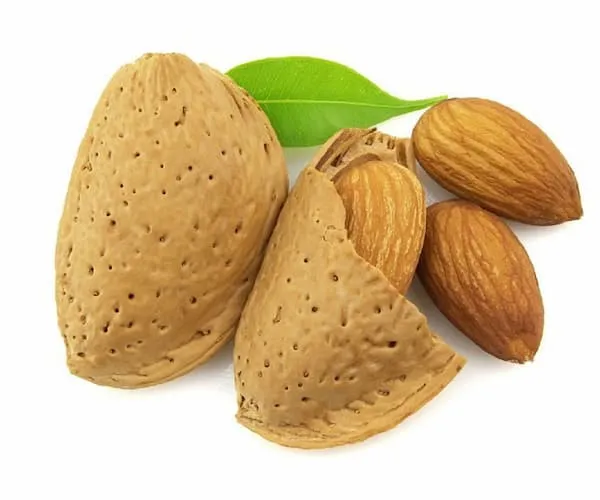 مغز بادام سنگی بی نمک | قیمت مناسب خرید عالی