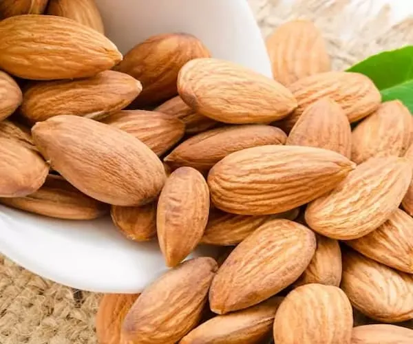 قیمت خرید مغز بادام مامایی + خواص، معایب و مزایا
