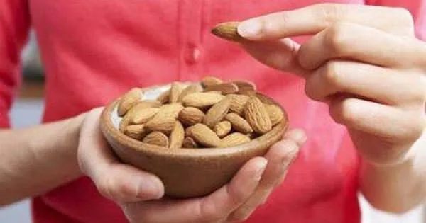 معرفی بادام درختی تلخ + بهترین قیمت خرید