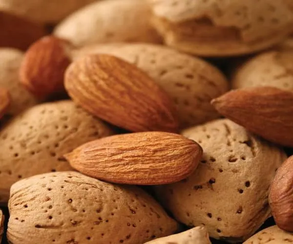 قیمت خرید مغز بادام مامایی + خواص، معایب و مزایا