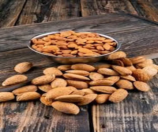 قیمت خرید بادام درختی شهرکرد + خواص، معایب و مزایا