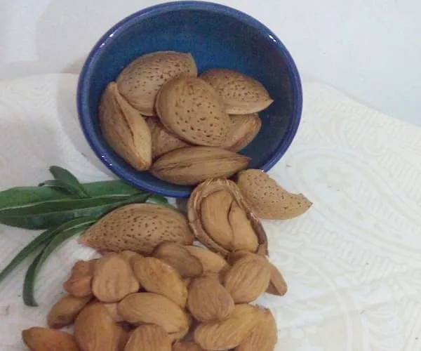 مغز بادام سنگی بی نمک | قیمت مناسب خرید عالی
