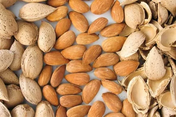 قیمت خرید بادام درختی سنگی + عکس