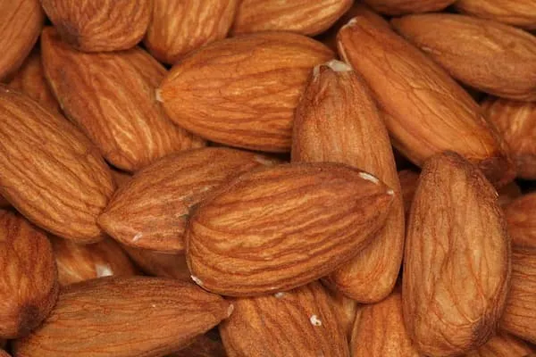 قیمت خرید مغز بادام سنگی + خواص، معایب و مزایا