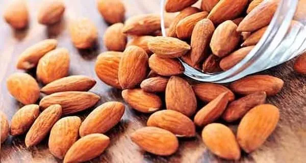 معرفی بادام درختی تلخ + بهترین قیمت خرید