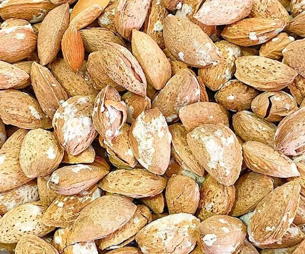 خرید مغز بادام منقا نمکی + بهترین قیمت