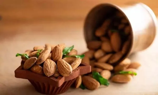 قیمت خرید بادام درختی شهرکرد + خواص، معایب و مزایا